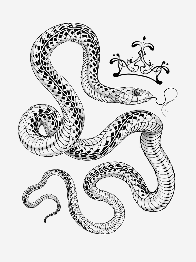 Illustration23