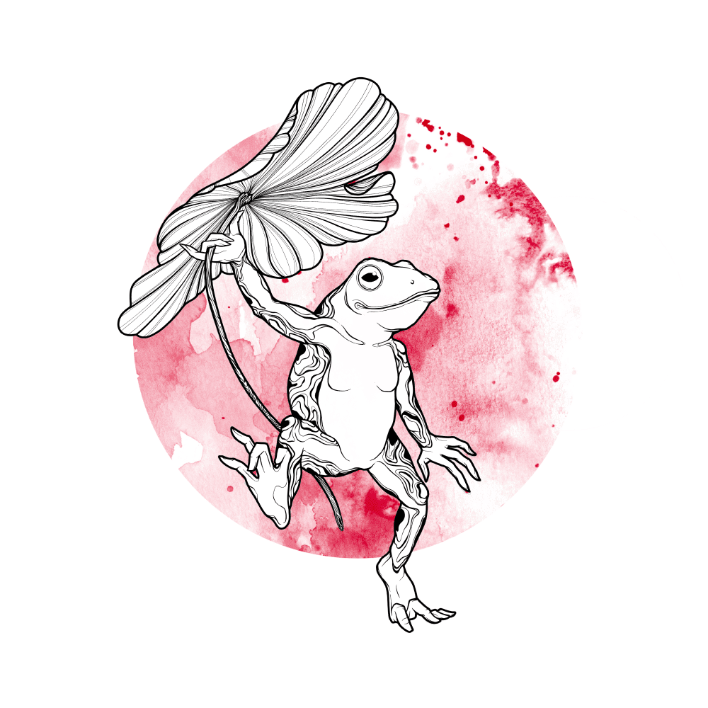 Illustration6