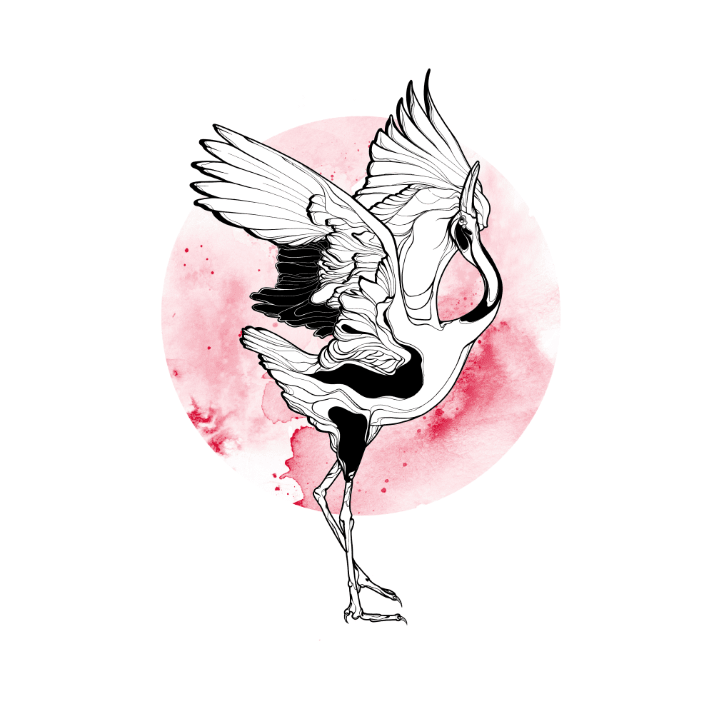 Illustration8